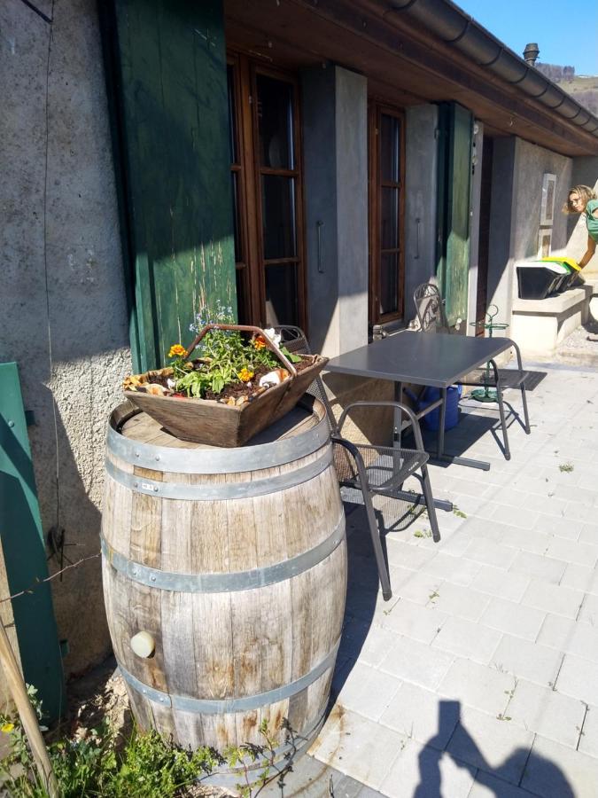 Villa Charmante maison indépendante au coeur du Lavaux, Cully, cuisine, WiFi Extérieur photo